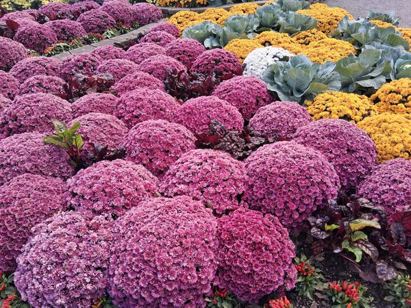 Le pied de poteau : 7 conseils indispensables pour bien choisir